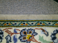 Rug Moth-repairing - After