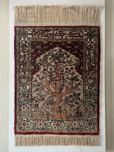 Rug Hanging by Canvas on daylaight